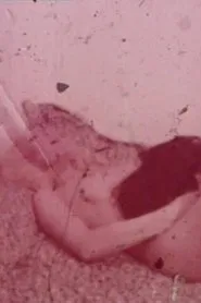 Pubic Hair Ban movie poster