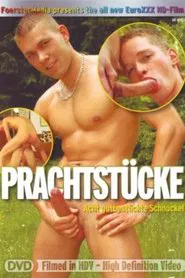 Prachtstücke movie poster