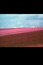 Flower Fields movie poster