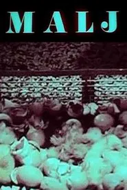 The Mallet movie poster