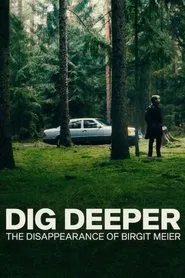 Dig Deeper: The Disappearance of Birgit Meier tv show poster