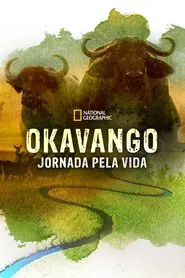Poster do filme Okavango: Jornada pela Vida