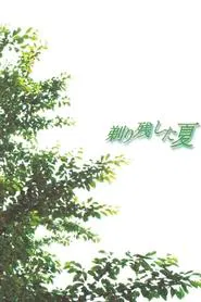 Summer of Leftover Stubble movie poster