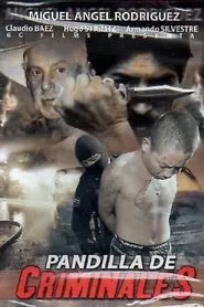 Poster do filme Pandilla de criminales