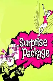 Surprise Package movie poster