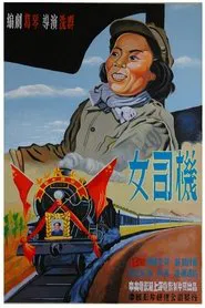 Poster do filme 女司机
