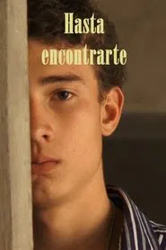 Hasta encontrarte movie poster