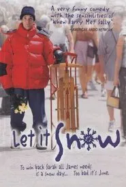 Poster do filme Let It Snow