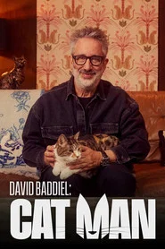 David Baddiel: Cat Man tv show poster