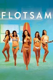 Poster do filme Flotsam