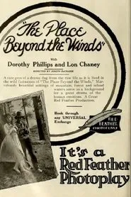 Poster do filme The Place Beyond the Winds