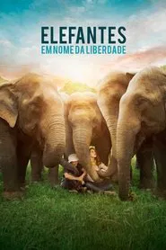 Poster do filme Elefantes: Em Nome da Liberdade