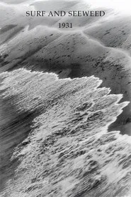 Surf and Seaweed movie poster