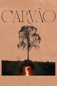 Poster do filme Charcoal