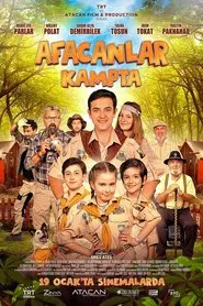 Afacanlar Kampta movie poster