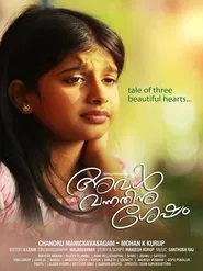 Aval Vannathinu Shesham movie poster