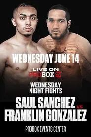 Saul Sanchez vs. Franklin Gonzalez movie poster