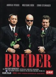 Poster do filme Brothers