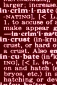 Dictionary movie poster