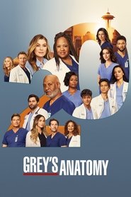 Greys Anatomy tv show poster