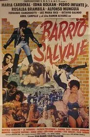 Poster do filme Barrio Salvaje
