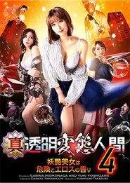 True Invisible Pervert 4 movie poster