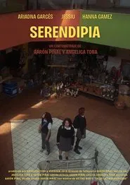 Serendipia movie poster