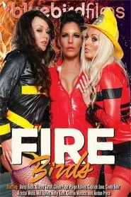 Poster do filme Firebirds