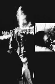 Poster do filme Tiger Child