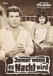 Immer wenn es Nacht wird movie poster