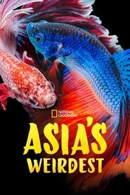 Asia's Weirdest tv show poster