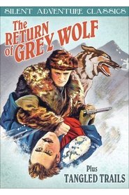 The Return of Grey Wolf movie poster