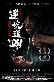 A Long Way Home movie poster