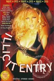 Illicit Entry movie poster