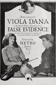 Poster do filme False Evidence