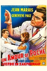 A Girl in a Pocket movie poster