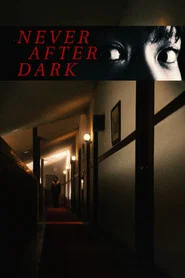 Poster do filme Never After Dark