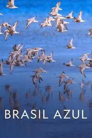 Poster do filme Blue Brazil