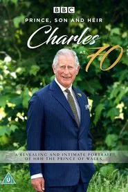 Prince, Son and Heir: Charles at 70 movie poster