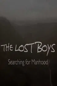 The Lost Boys: Searching for Manhood movie poster
