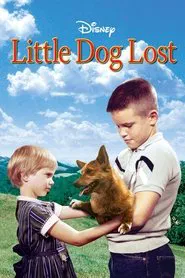 Little Dog Lost movie poster
