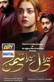 Mera Dil Mera Dushman tv show poster