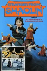 Poster do filme Stranger from Shaolin