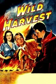 Wild Harvest movie poster