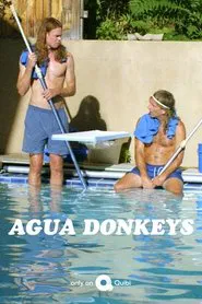 Agua Donkeys tv show poster