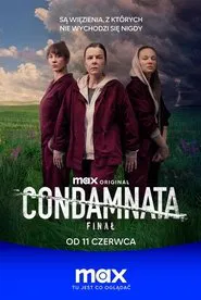 The Convict tv show poster