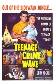 Teen-Age Crime Wave movie poster