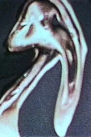 Thru the Looking Glass - A Fantasy movie poster