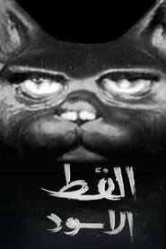 The Black Cat tv show poster