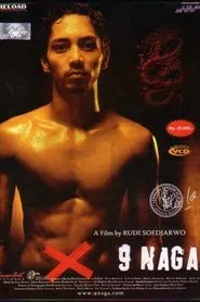 Poster do filme The Nine Dragon